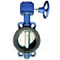 DN100,PN10 wafter type Plastic butterfly valve with worm gearbox